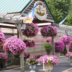 Koetsiers Greenhouse Cascade MI