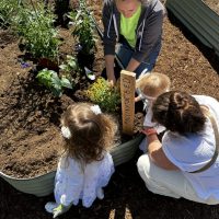 Caroline helping kids in the Teaching Garden