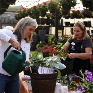 Koetsiers Greenhouse 2022-202